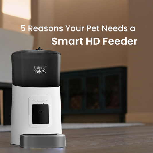 5 Reasons Your Pet Needs a Smart HD Feeder