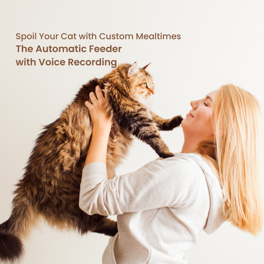 Spoil Your Cat with Custom Mealtimes: The Automatic Feeder with Voice Recording