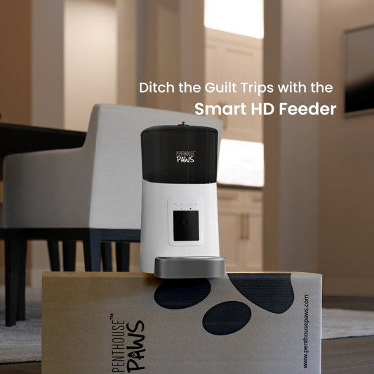 Ditch the Guilt Trips with the Smart HD Feeder