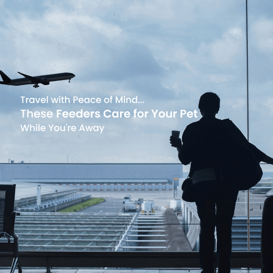 Travel with Peace of Mind