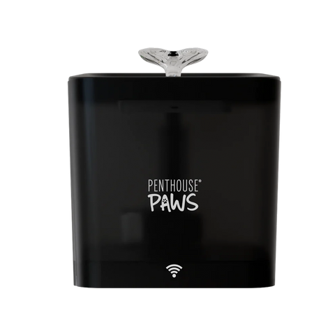 Penthouse Paws smart water fountain in black.