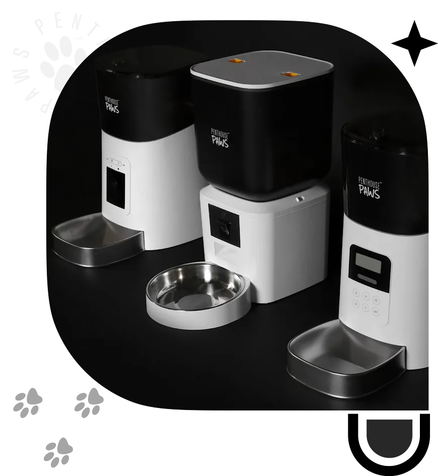Penthouse paws smart feeders with stainless steel bowls.