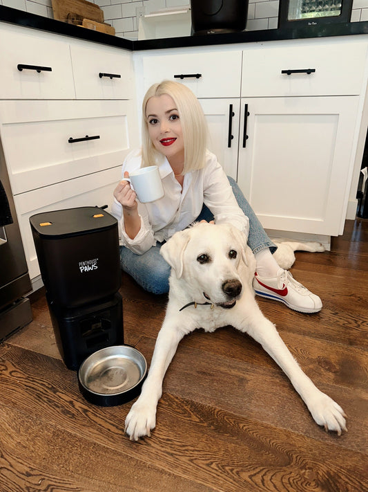 Why Your Dog is Afraid of the Automatic Feeder