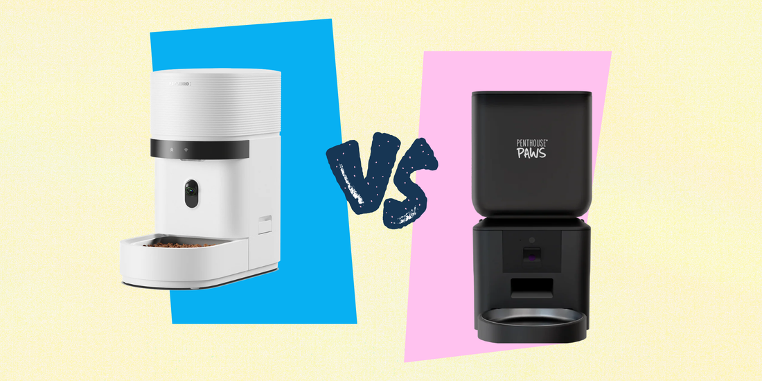 petlibro vs penthouse paws