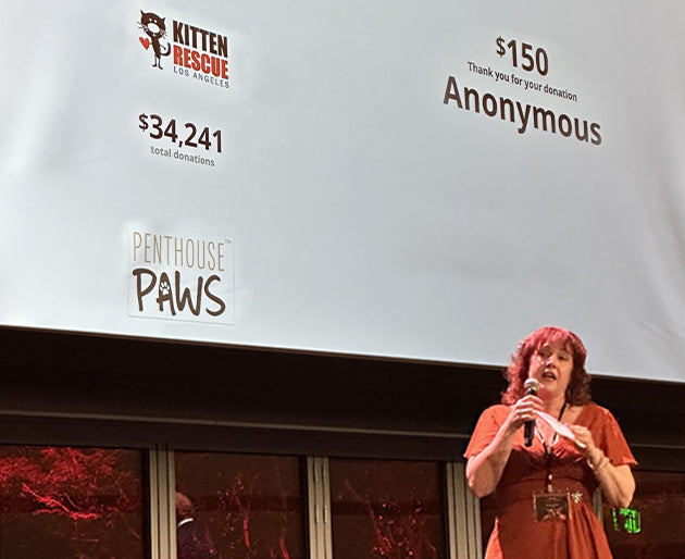 A woman speaking on stage.