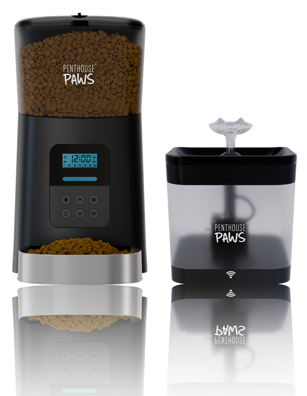 Automatic Pet Feeder + Water Fountain