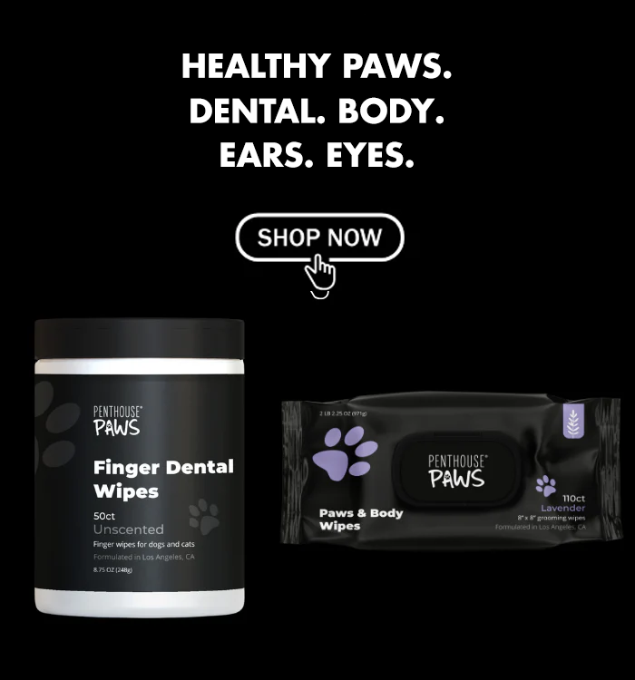 Collection of pet products in modern black packaging.