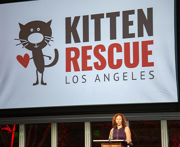A large sign that reads "Kitten rescue los angeles."