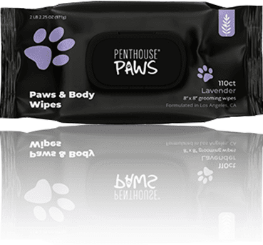 Close-up of Penthouse Paws Paws  Body Wipes.