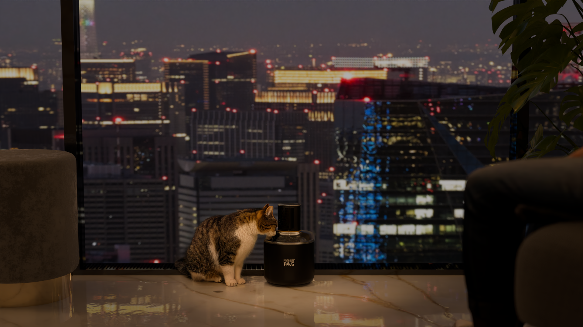 Cat drinking from a Penthouse Paws water fountain.