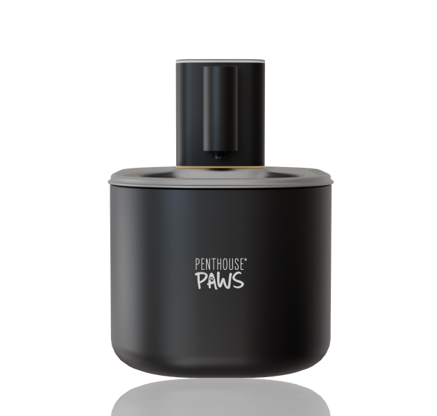 Penthouse Paws automatic water fountain.