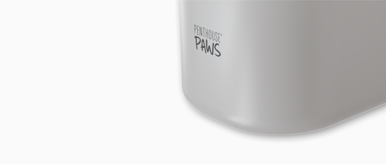 Penthouse Paws automatic water fountain.