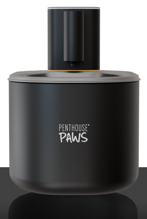 Penthouse Paws automatic water fountain.
