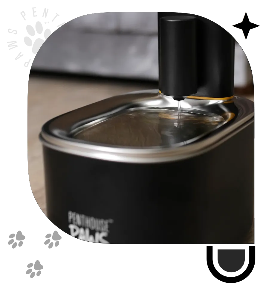 Close-up of Penthouse Paws smart water fountain.