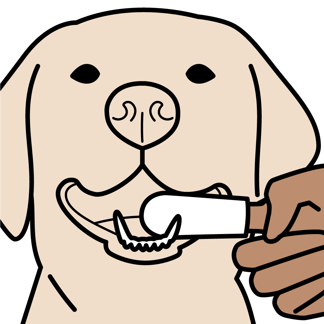 A cartoon hand brushing a dog's teeth with a Penthouse Paws dental wipe.