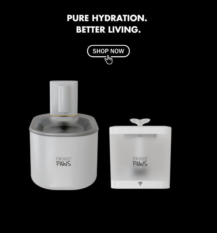 Penthouse Paws smart feeder against a black background.