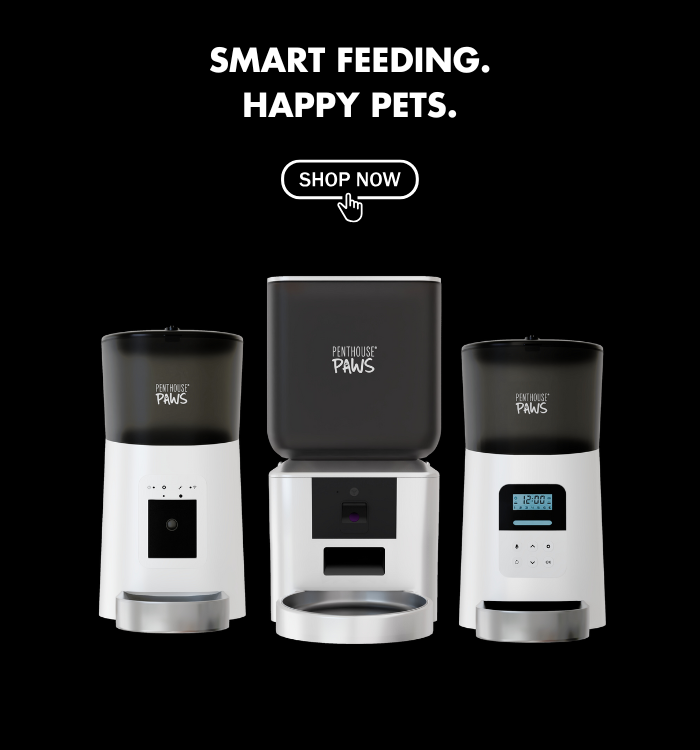 Penthouse Paws Smart feeders and water fountains.
