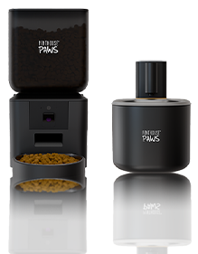 Penthouse Paws feeder and water fountain.