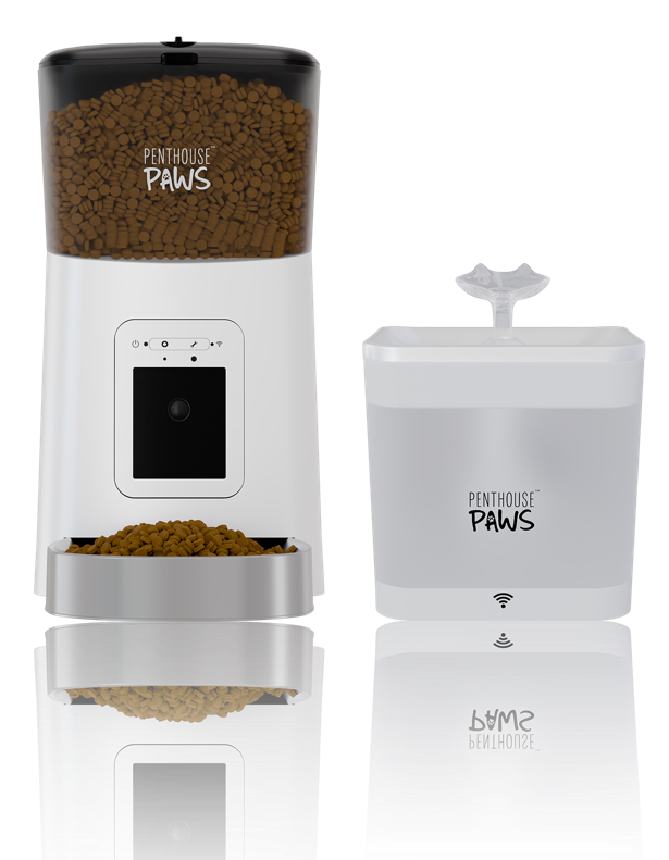Penthouse Paws automatic feeder and water fountain.