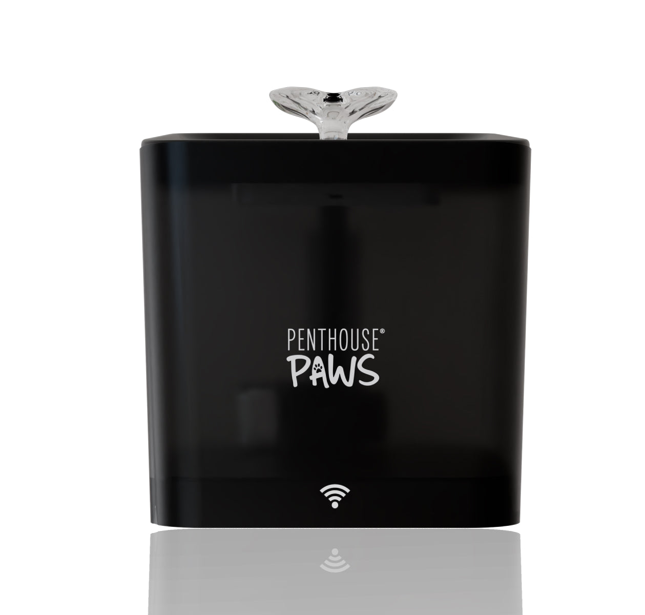 Penthouse Paws water fountain in black. 