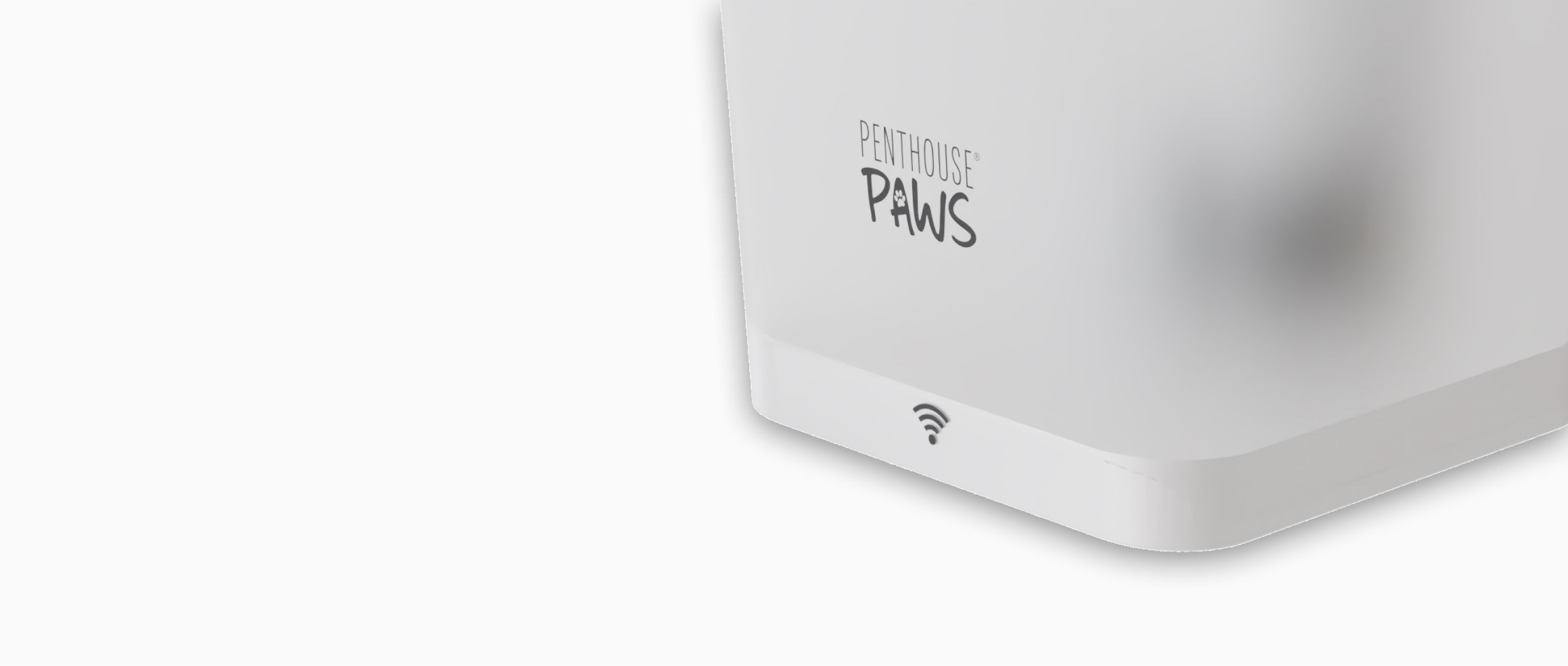 Penthouse Paws logo up close. 