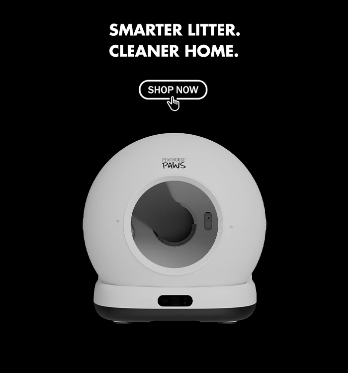 Penthouse Paws smart litter box.