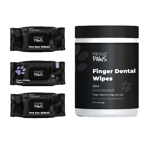 The Complete 4-in-1 Pet Grooming Wipes Kit, including packs of eye, body, and ear wipes, and a canister of finger dental wipes. 